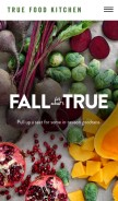 How truefoodkitchen.com looks like on a mobile device such as an iPhone.