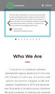How trueleaftech.com looks like on a mobile device such as an iPhone.