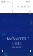 How truemetrics.cn looks like on a mobile device such as an iPhone.