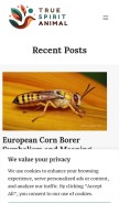 How truespiritanimal.com looks like on a mobile device such as an iPhone.