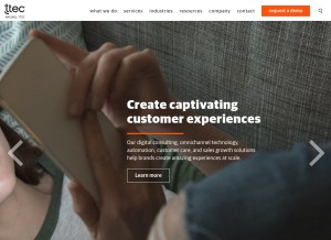 How ttec.com looks like on a tablet such as an iPad.