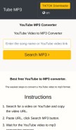 How tubemp3.websiteseguro.com looks like on a mobile device such as an iPhone.
