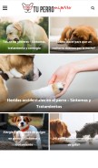 How tuperromiperro.com looks like on a mobile device such as an iPhone.
