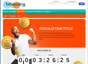 How turksandcaicosgames.com looks like on a tablet such as an iPad.