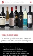 How tweglobal.com looks like on a mobile device such as an iPhone.