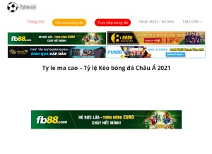 How tylemacao.com looks like on a tablet such as an iPad.