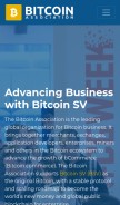 How usebsv.com looks like on a mobile device such as an iPhone.