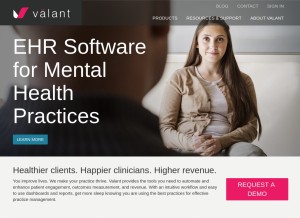 How valant.com looks like on a tablet such as an iPad.