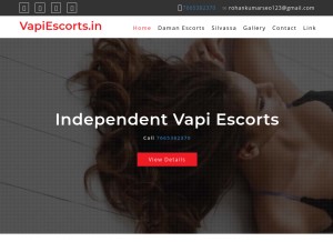 How vapiescorts.in looks like on a tablet such as an iPad.