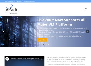 How vaultlogix.com looks like on a tablet such as an iPad.
