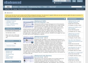 How vbadvanced.com looks like on a tablet such as an iPad.