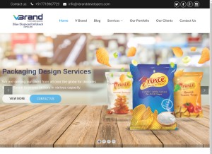 How vbranddevelopers.com looks like on a tablet such as an iPad.