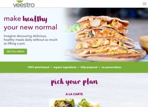 How veestro.com looks like on a tablet such as an iPad.