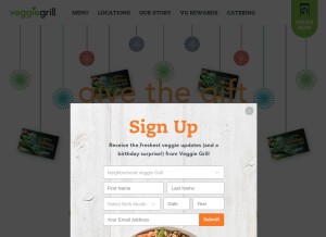 How veggiegrill.com looks like on a tablet such as an iPad.
