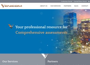 How venicomservices.com looks like on a tablet such as an iPad.