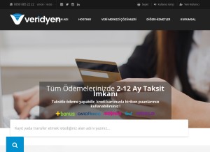 How veridyen.com looks like on a tablet such as an iPad.