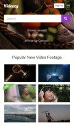 How videezy.com looks like on a mobile device such as an iPhone.