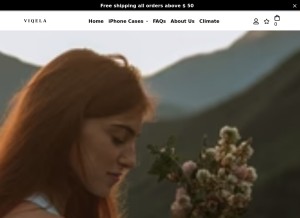How viqela.com looks like on a tablet such as an iPad.