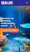 How visitsealife.com looks like on a mobile device such as an iPhone.