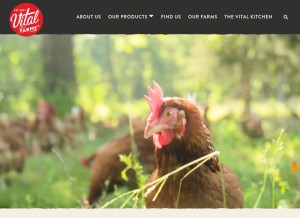 How vitalfarms.com looks like on a tablet such as an iPad.