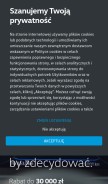 How volkswagen.pl looks like on a mobile device such as an iPhone.