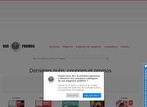 How vos-promos.fr looks like on a tablet such as an iPad.