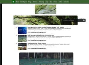 How wahyu-winoto.com looks like on a tablet such as an iPad.