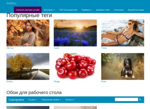 How wallbox.ru looks like on a tablet such as an iPad.