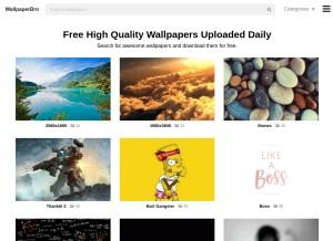 How wallpaperbro.com looks like on a tablet such as an iPad.