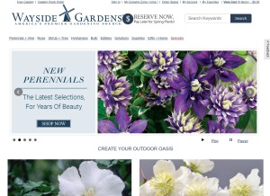 How waysidegardens.com looks like on a tablet such as an iPad.