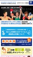 How wbbsg.com looks like on a mobile device such as an iPhone.
