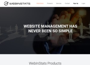 How webinstats.com looks like on a tablet such as an iPad.