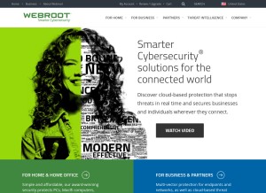 How webroot.com looks like on a tablet such as an iPad.