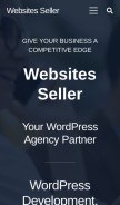 How websitesseller.com looks like on a mobile device such as an iPhone.