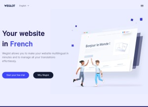 How weglot.com looks like on a tablet such as an iPad.