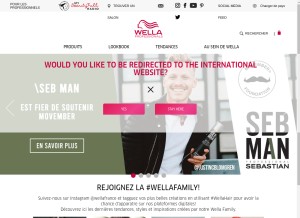 How wella.com looks like on a tablet such as an iPad.