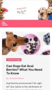 How wellnessdogfoodblog.com looks like on a mobile device such as an iPhone.