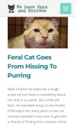 How welovecatsandkittens.com looks like on a mobile device such as an iPhone.