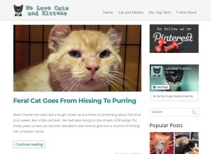 How welovecatsandkittens.com looks like on a tablet such as an iPad.