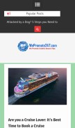 How wepromote247.com looks like on a mobile device such as an iPhone.