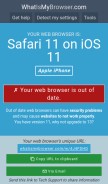 How whatismybrowser.com looks like on a mobile device such as an iPhone.