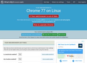 How whatismybrowser.com looks like on a tablet such as an iPad.