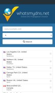How whatsmydns.net looks like on a mobile device such as an iPhone.
