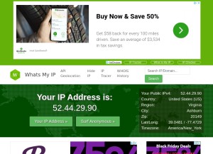 How whatsmyip.com looks like on a tablet such as an iPad.
