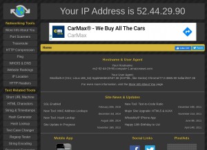 How whatsmyip.org looks like on a tablet such as an iPad.