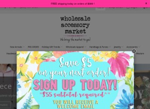 How wholesaleaccessorymarket.com looks like on a tablet such as an iPad.