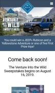 How wildsweeps.com looks like on a mobile device such as an iPhone.