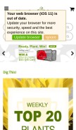 How wilsonbrosgardens.com looks like on a mobile device such as an iPhone.