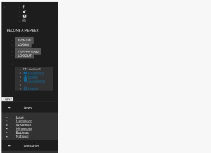 How winonadailynews.com looks like on a tablet such as an iPad.