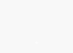 How wiretree.com looks like on a tablet such as an iPad.